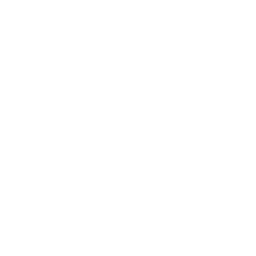XC5000_POLAR_logo
